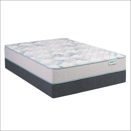 BeautySleep® 11.5" DreamWeaver Firm